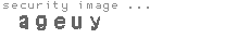security image